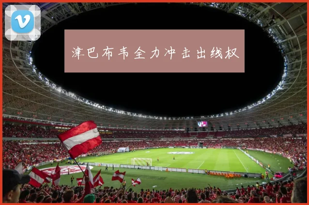 津巴布韦全力冲击出线权