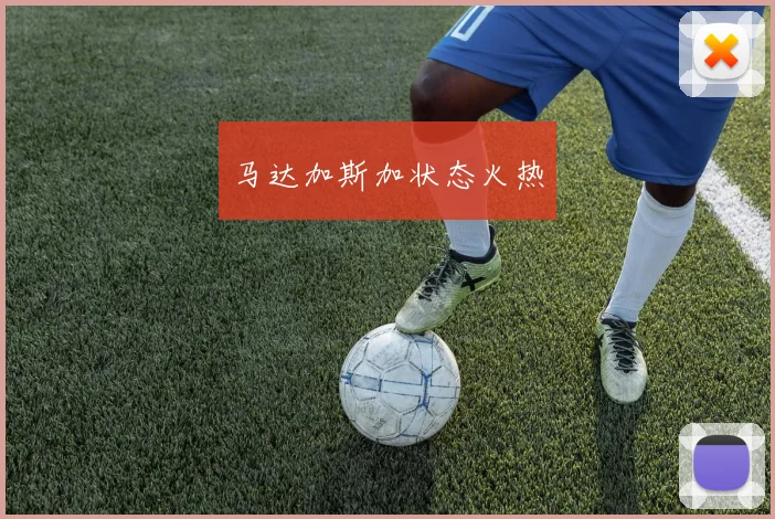 马达加斯加状态火热