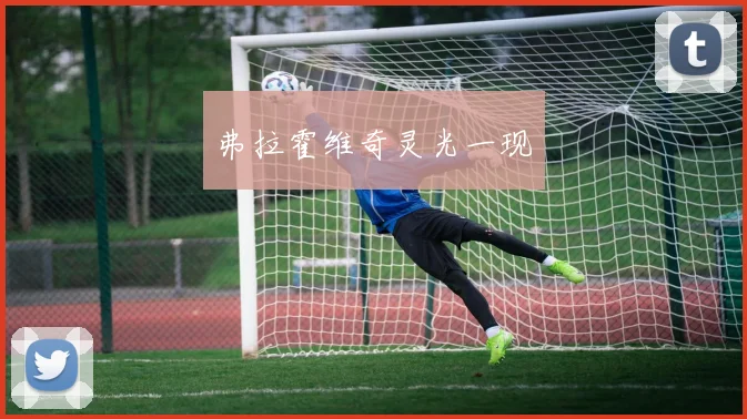 弗拉霍维奇灵光一现