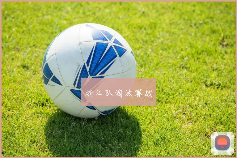 浙江队淘汰赛战