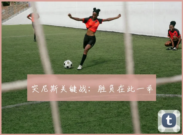 突尼斯关键战：胜负在此一举