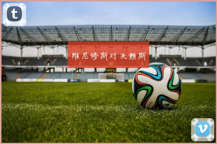 维尼修斯对决赖斯