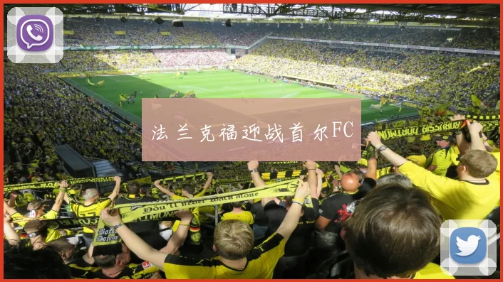法兰克福迎战首尔FC