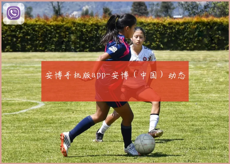 安博手机版app-安博（中国）动态