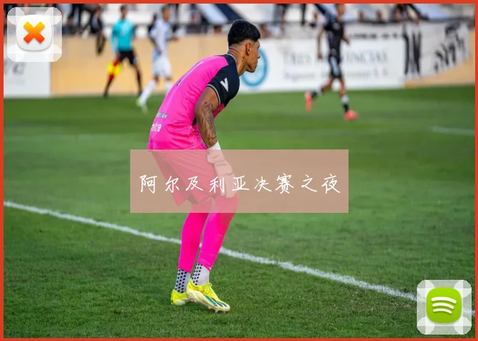 阿尔及利亚决赛之夜