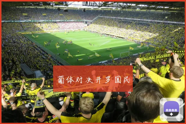 葡体对决开罗国民