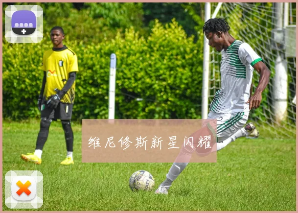 维尼修斯新星闪耀