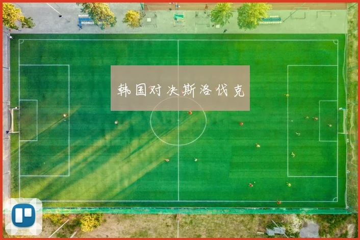 韩国对决斯洛伐克