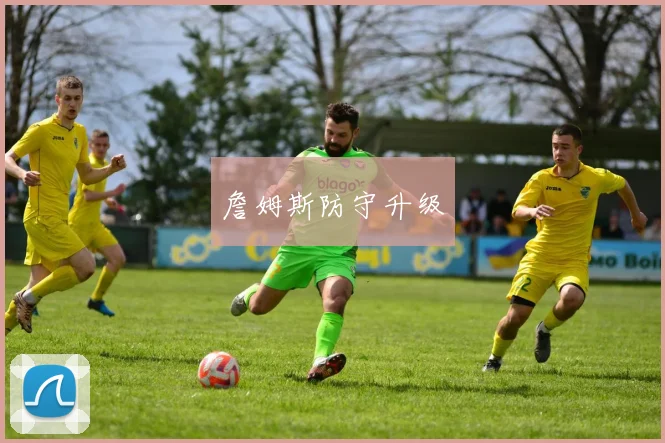 詹姆斯防守升级