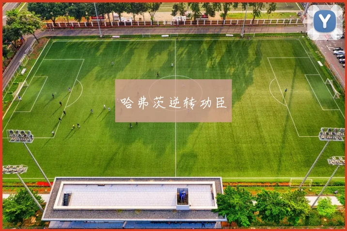 哈弗茨逆转功臣