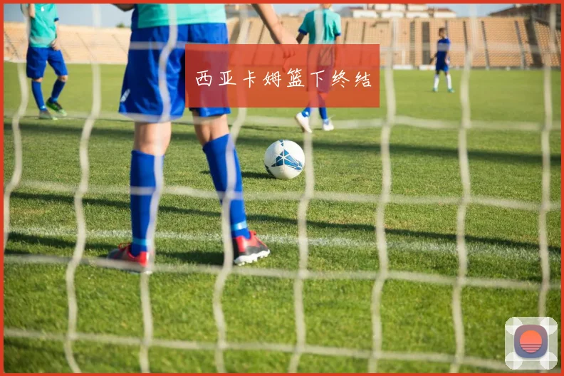 西亚卡姆篮下终结