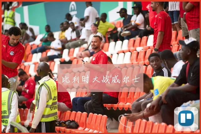 比利时大战威尔士