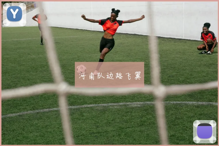 河南队边路飞翼