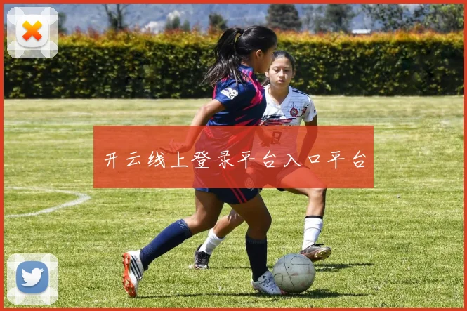 开云线上登录平台入口平台