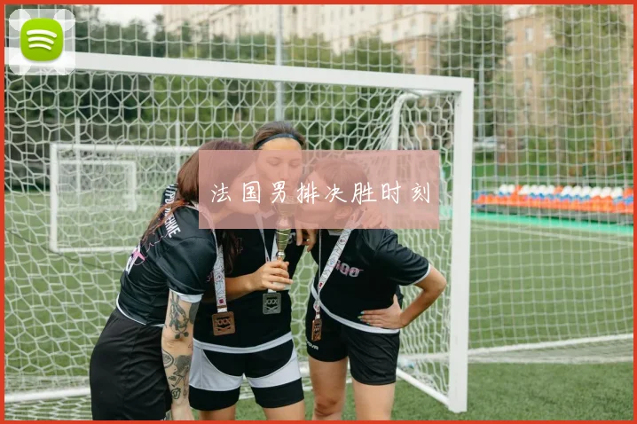 法国男排决胜时刻