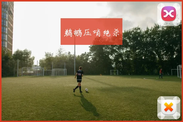 鹈鹕压哨绝杀