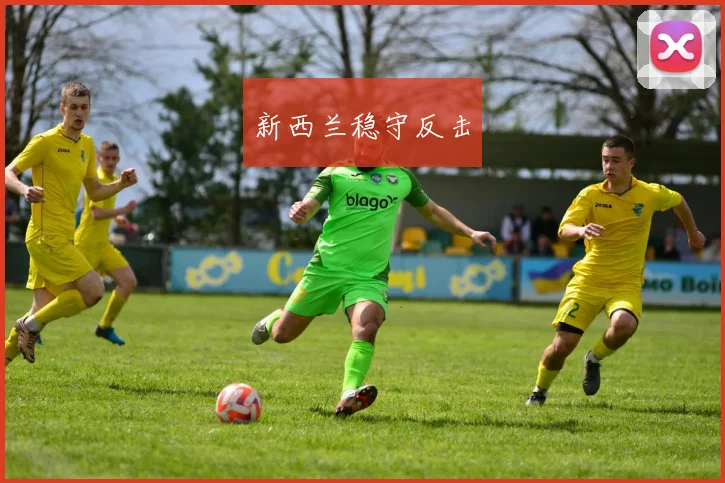 新西兰稳守反击