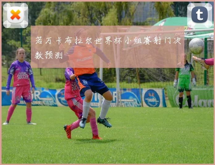 若万卡布拉尔世界杯小组赛射门次数预测
