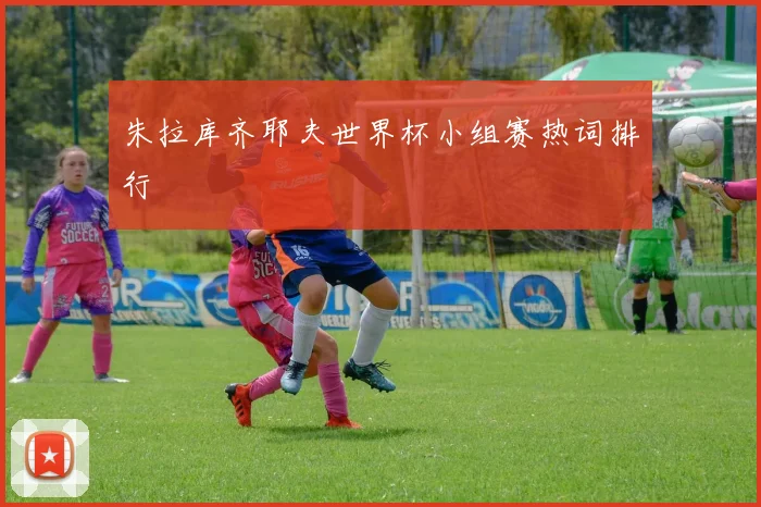 朱拉库齐耶夫世界杯小组赛热词排行