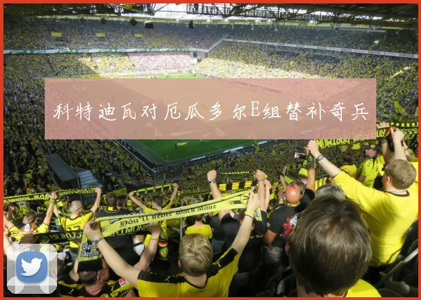 科特迪瓦对厄瓜多尔E组替补奇兵
