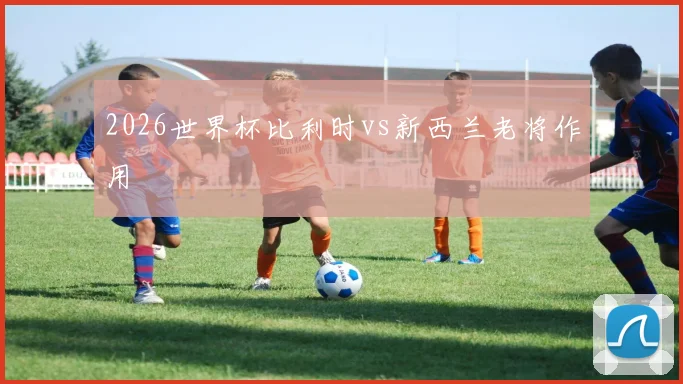2026世界杯比利时vs新西兰老将作用