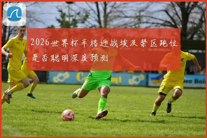 2026世界杯辛格迎战埃及禁区跑位是否聪明深度预测